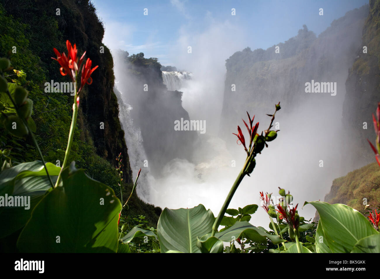 Best Photo Organization Software 2026 — Adobe Lightroom, Mylio, and More